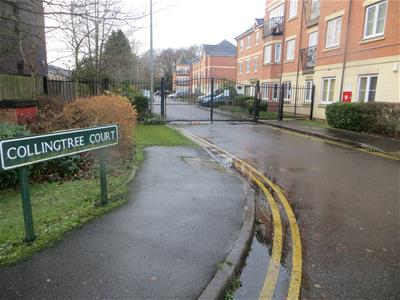 Picture 19